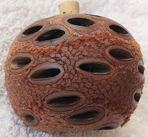 Vintage carved coconut - vintage, shell