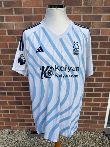 Nottingham forest football - nottingham,