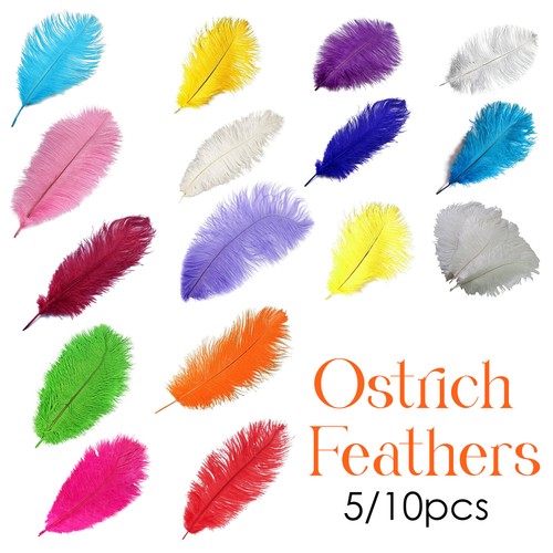 Natural ostrich feathers - natural,