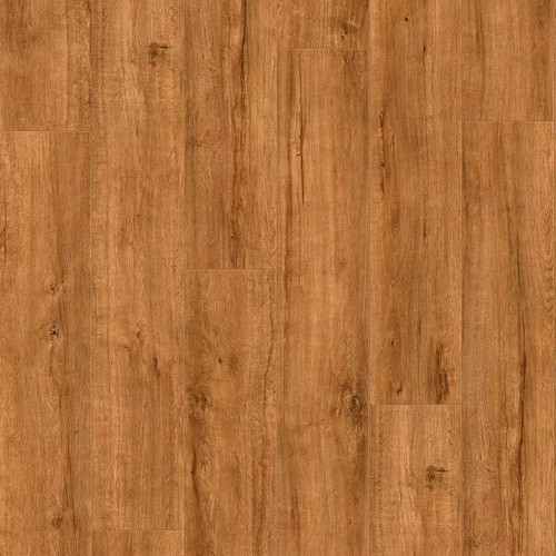 Autumn valley oak x 8 - oak, 12