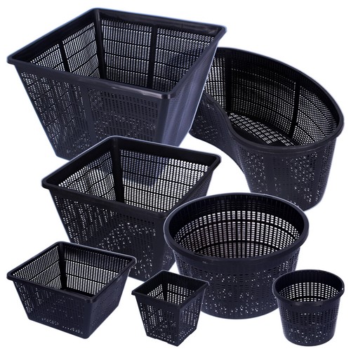 Pond plant planting - plant, basket