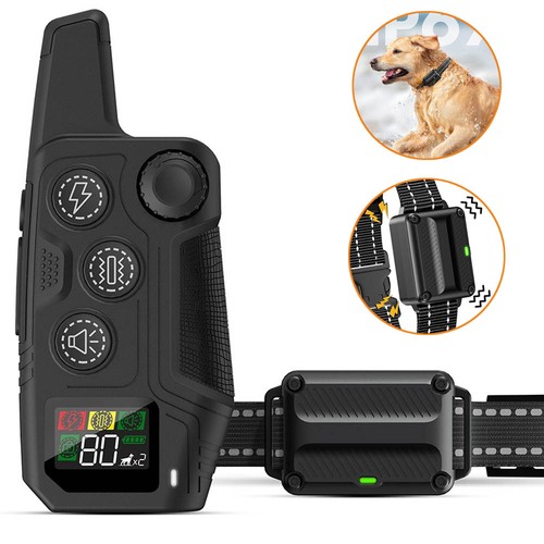 4500 dog training - dog,