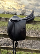 17” Black Amerigo Vega