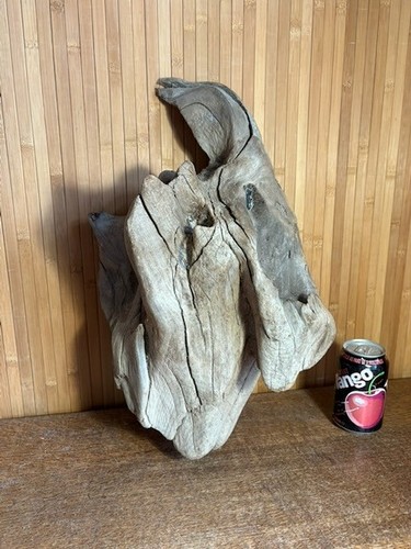 Driftwood piece large - large, red