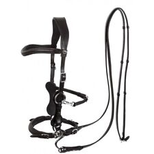 Calli Music Hackamore Bitless Bridle & Reins