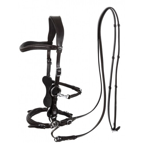Calli music hackamore bitless - hackamore,