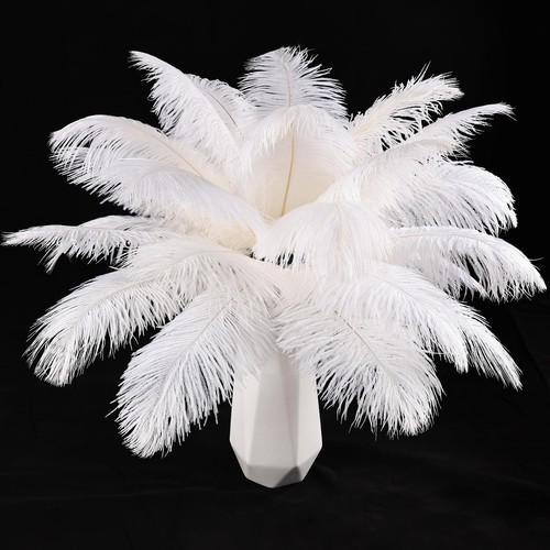 Tharaht white ostrich feathers - ostrich,
