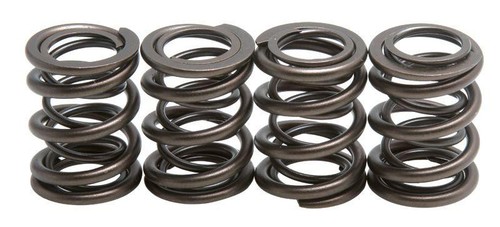 Valve spring kit - valve, xr500r