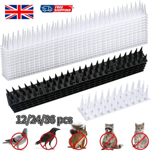 Fence wall window sill - window,
