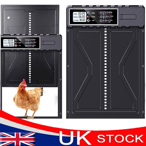 Automatic chicken coop door - chicken,