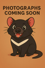 Bon Jovi - Gold (CD 0) 7