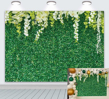 Green Leaves Backdrop Nature