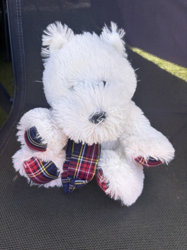 West highland terrier westie - terrier,