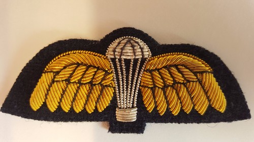 Parachute regiment wings - regiment, mess