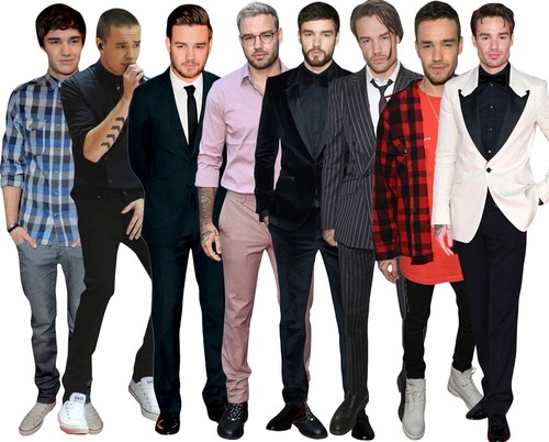 Liam payne life size - life,