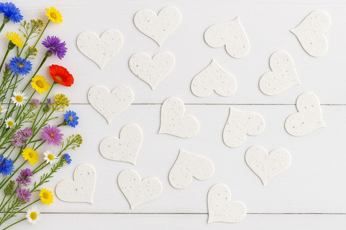 Seed paper hearts - paper,