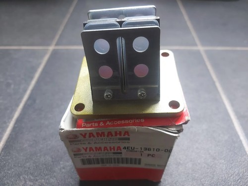 Yamaha tzr50 dt50lc - dt50lc, reed