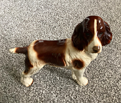Staffordshire brown white - staffordshire,