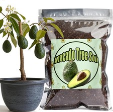 Organic Avocado Tree Potting Soil Mix 1L, Enhance Growth and Transplant 1L 