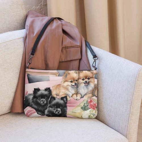 Pomeranian puppy dog - pomeranian, ladies