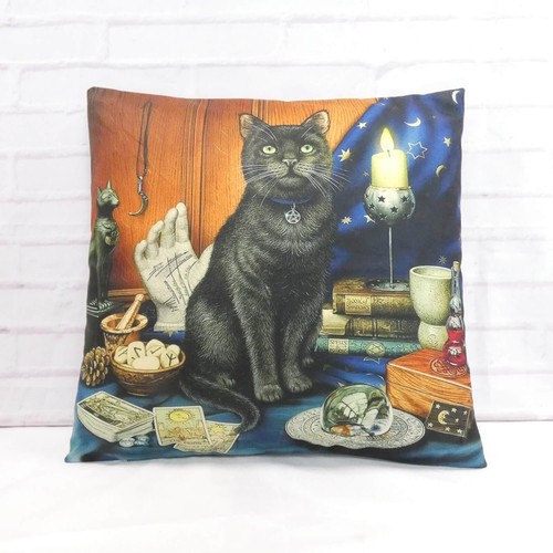 Fortune teller black cat - fortune,