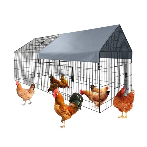 Chicken coop 40 - chicken,