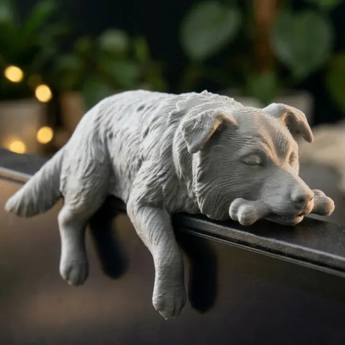 Cozy border collie monitor - cozy,