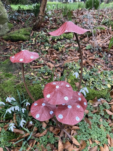 Spotty red metal toadstool - spotty,
