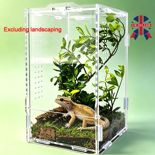 Acrylic terrarium enclosure - terrarium,