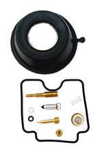 Carburetor Repair Kit with