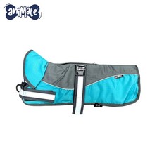 ANIMATE GREY/TEAL PREMIUM