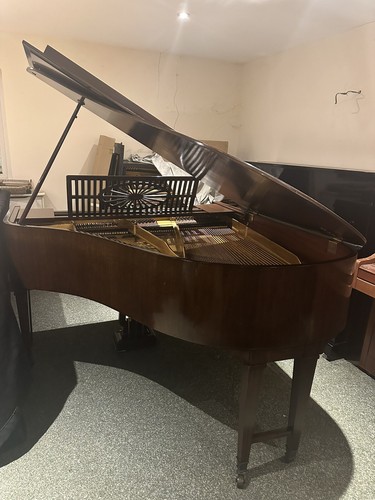 Schiedmeyer baby grand - baby,