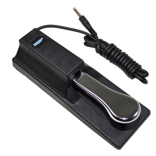 Sustain pedal piano - piano, style