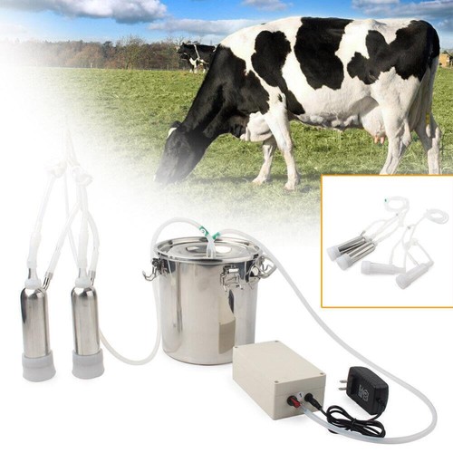 Household electric goat - goat, cow