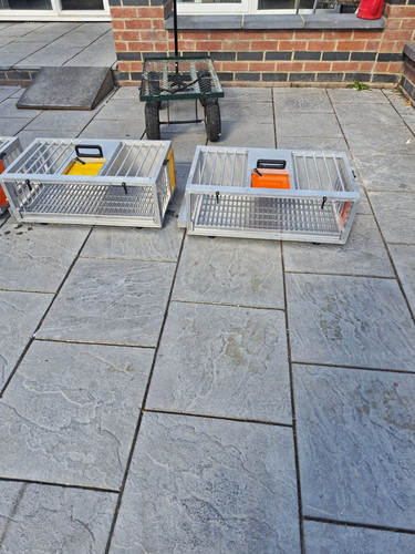 Racing pigeon training crates - racing,