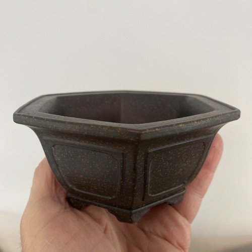 Shohin bonsai pot with - pot,