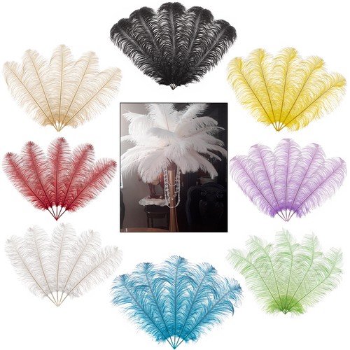 Small large ostrich feathers - ostrich,