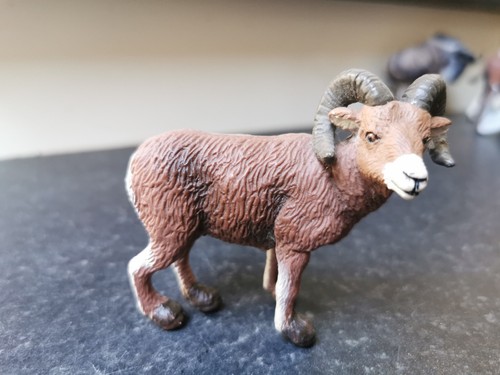 Safari ltd big horn sheep - big,