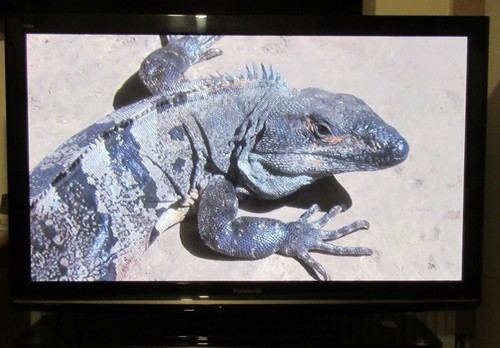 Panasonic p50s11b 1080p - tx-p50s11b, 50"
