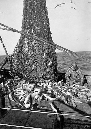 Trawlerman opens net - , deep