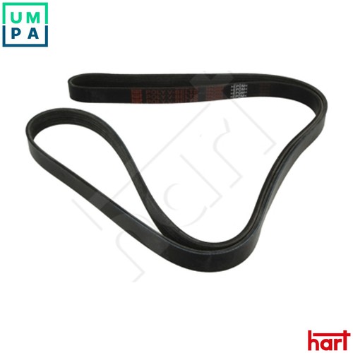 Vribbed belt 930 - 930, 686