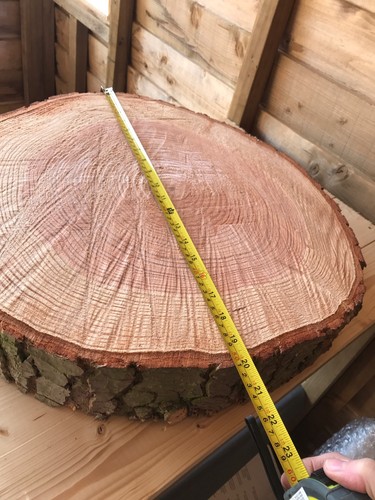 Rustic log slice ring - 20",