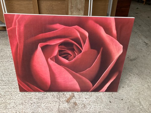 Red roses canvas - red,
