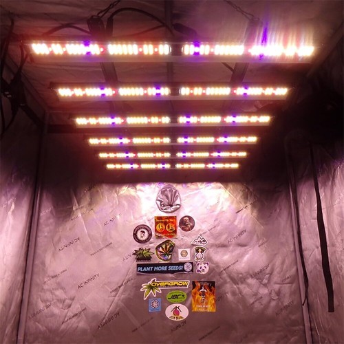 Ba5000w led grow lights for - led,