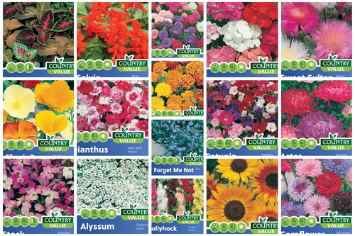Flower seeds fothergills - seeds,