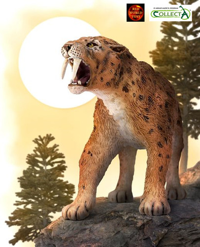 Smilodon sabre tooth - smilodon, dinosaur