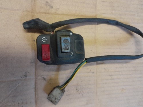 Derbi early gpr50 - gpr50, gpr