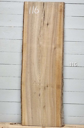 Elm live edge timber 1240mm - timber, x