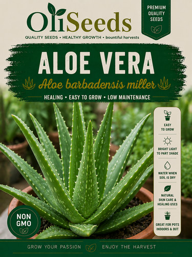 Aloe vera seeds medicinal - vera,
