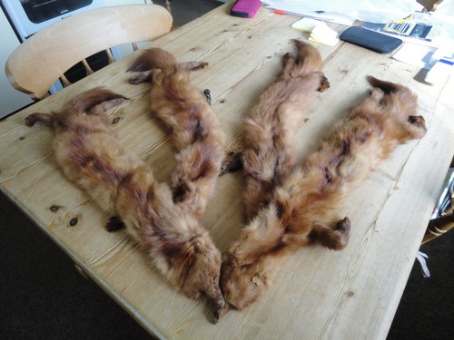 Ladies mink stole - 4,
